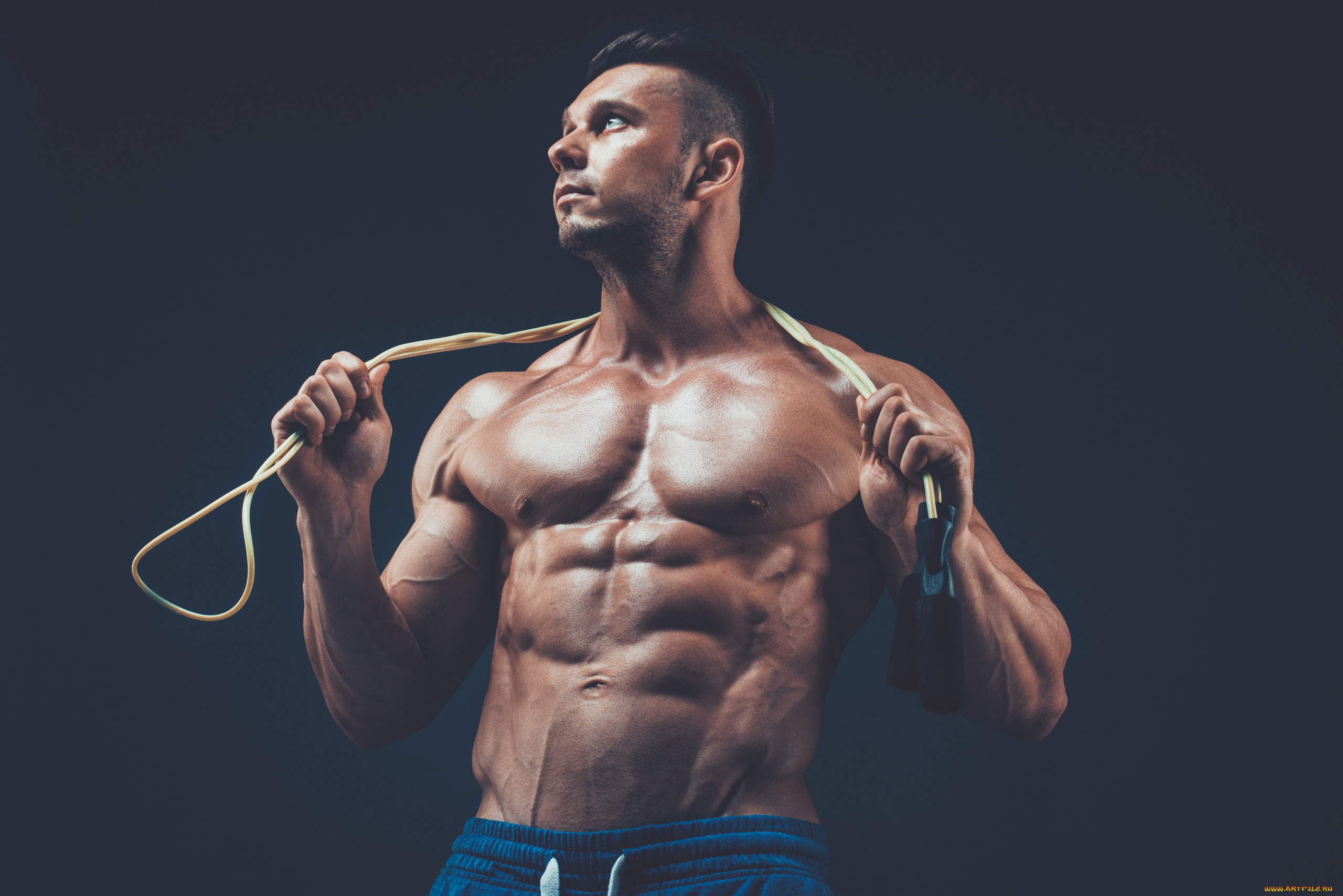 , body building, , , , , 